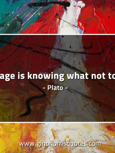 Courage is knowing what not to fear PlatoQuotes