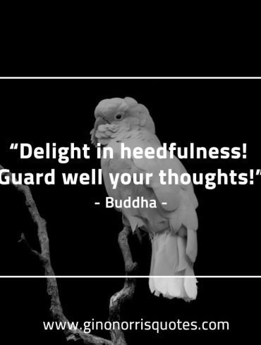 Delight in heedfulness BuddhaQuotes