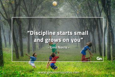 Discipline starts small and grows on you GinoNorrisQuotes