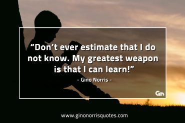 Dont ever estimate that I do not know GinoNorrisQuotes