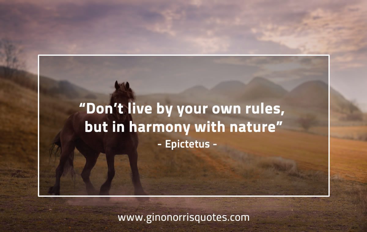 Dont live by your own rules EpictetusQuotes