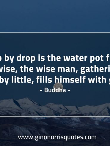 Drop by drop BuddhaQuotes