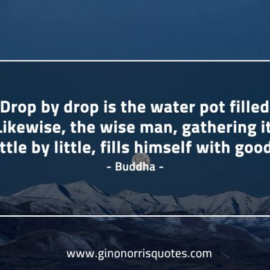 Drop by drop BuddhaQuotes