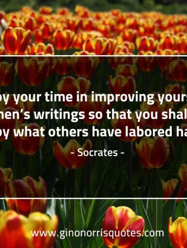 Employ your time in improving yourself SocratesQuotes