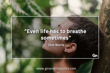 Even life has to breathe sometimes GinoNorrisQuotes