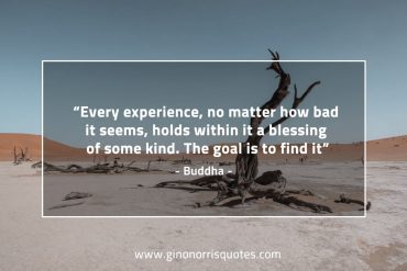 Every experience BuddhaQuotes