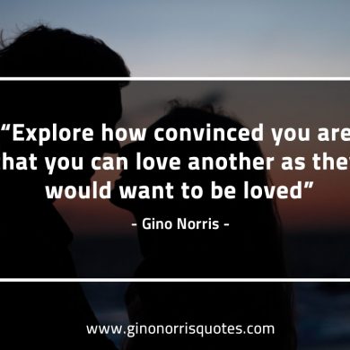 Explore how convinced you are GinoNorrisQuotes