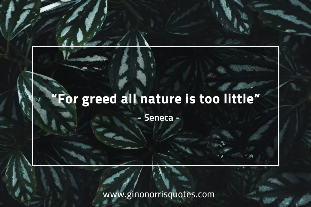 For greed all nature is too little SenecaQuotes