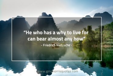 He who has a why to live for NietzscheQuote