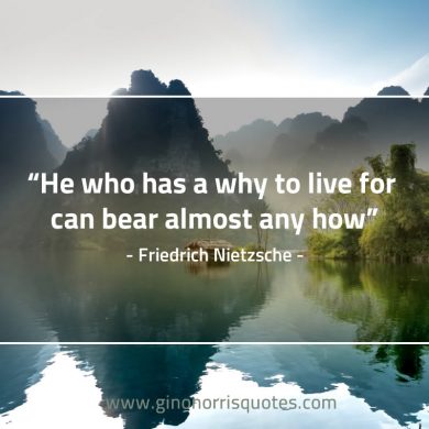 He who has a why to live for NietzscheQuote