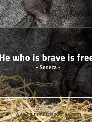 He who is brave is free SenecaQuotes