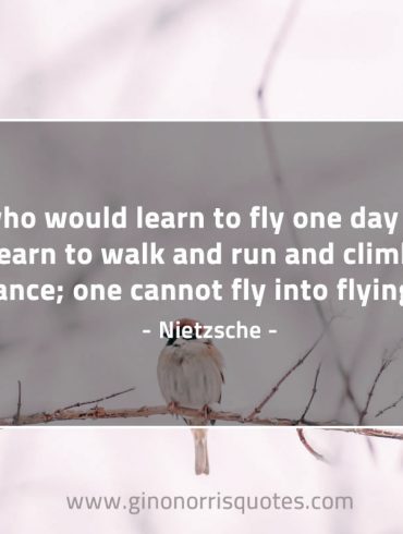 He who would learn to fly one day NietzscheQuotes