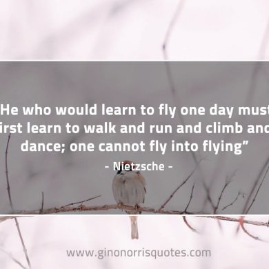 He who would learn to fly one day NietzscheQuotes