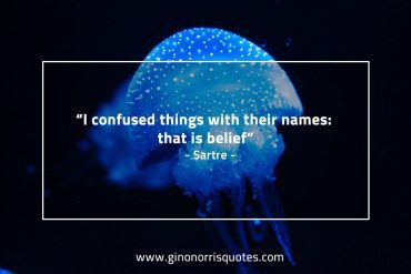 I confused things SartreQuotes