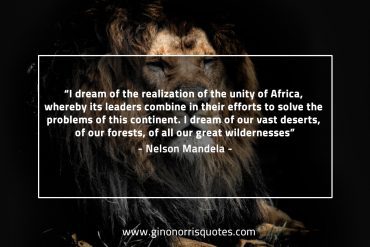 I dream of the realization MandelaQuotes