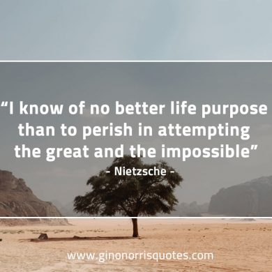 I know of no better life purpose NietzscheQuotes