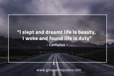 I slept and dreamt ConfuciusQuotes