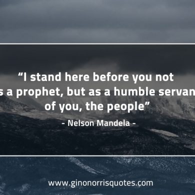 I stand here before you MandelaQuotes