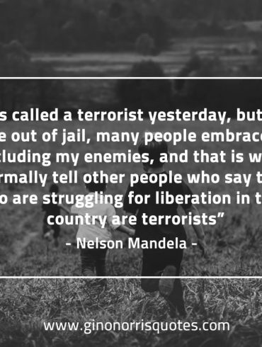 I was called a terrorist yesterday MandelaQuotes