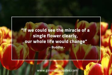 If we could see the miracle BuddhaQuotes