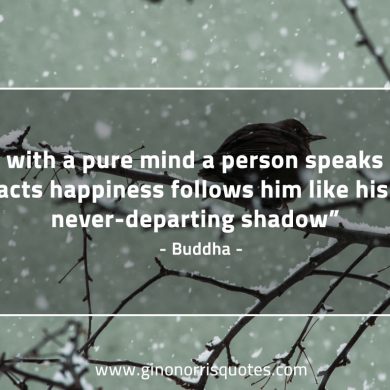 If with a pure mind BuddhaQuotes