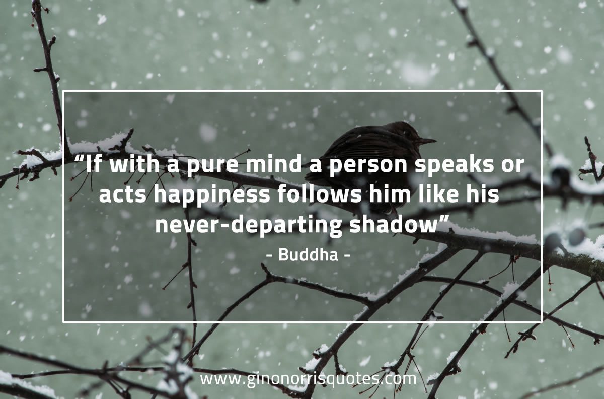 If with a pure mind BuddhaQuotes