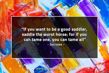 If you want to be a good saddler SocratesQuotes