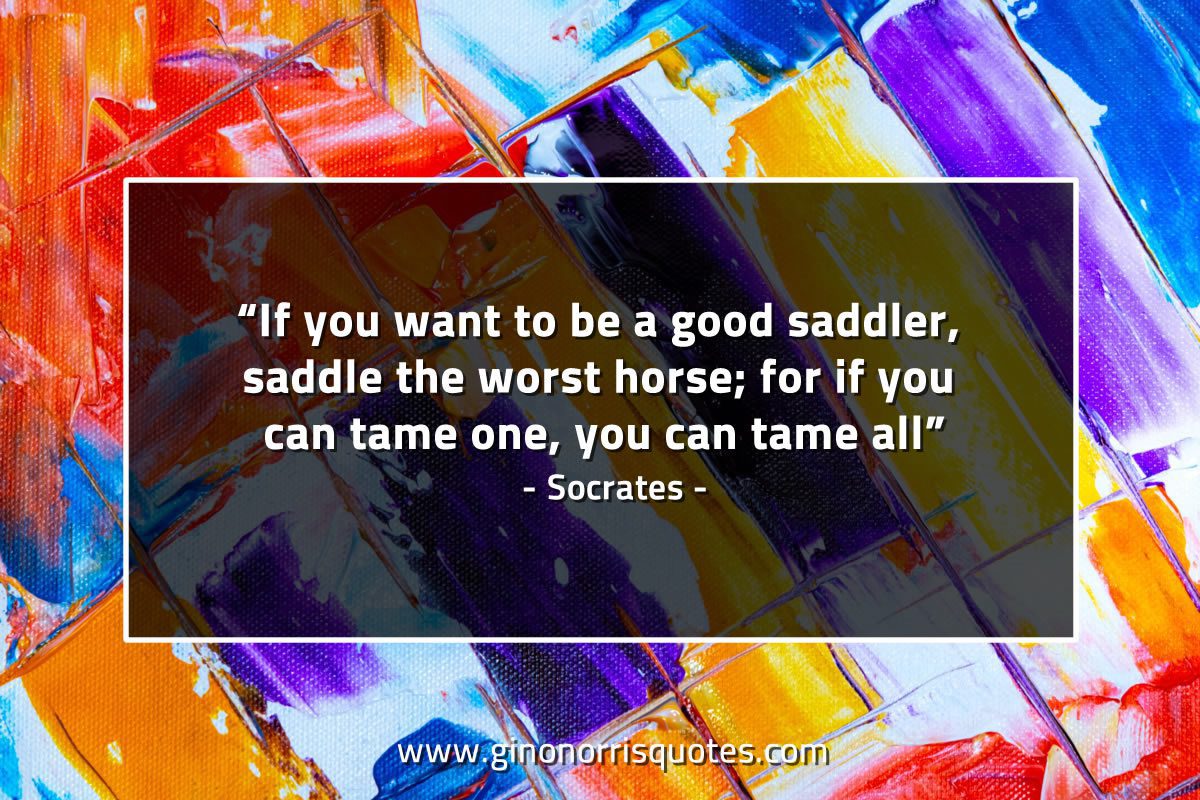 If you want to be a good saddler SocratesQuotes