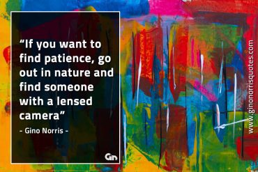 If you want to find patience GinoNorrisQuotes