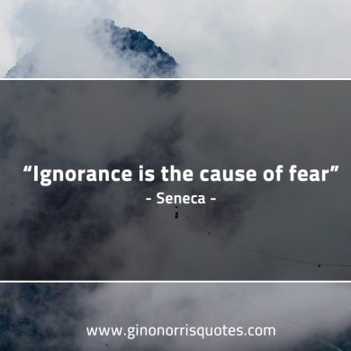 Ignorance is the cause of fear SenecaQuotes