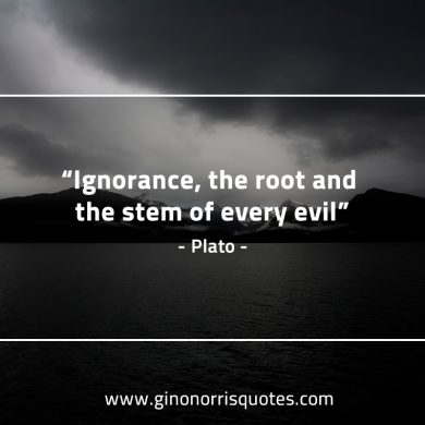 Ignorance the root and the stem PlatoQuotes