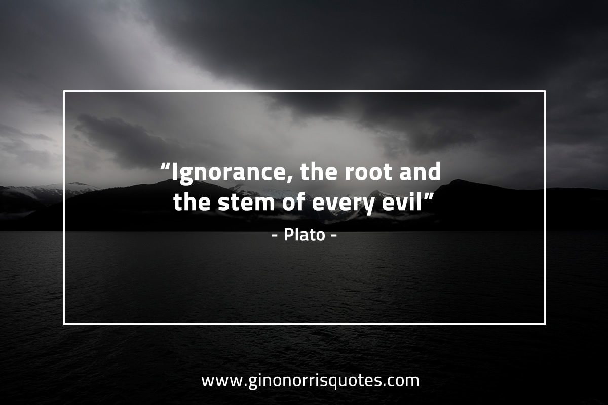 Ignorance the root and the stem PlatoQuotes