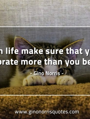 In life make sure that you celebrate more GinoNorrisQuotes