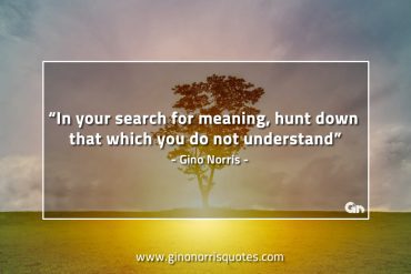 In your search for meaning GinoNorrisQuotes