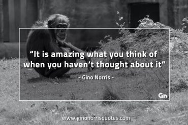 It is amazing what you think of when GinoNorrisQuotes