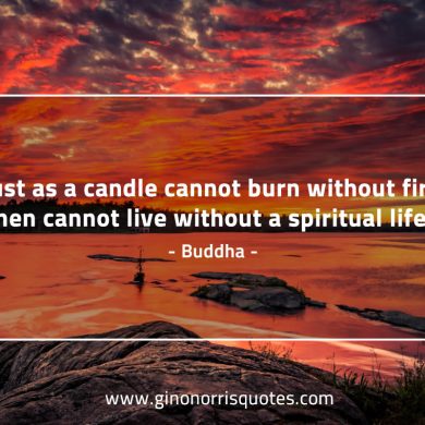 Just as a candle cannot burn BuddhaQuotes