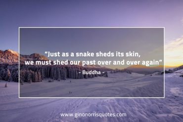 Just as a snake BuddhaQuotes