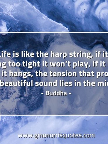 Life is like the harp string BuddhaQuotes