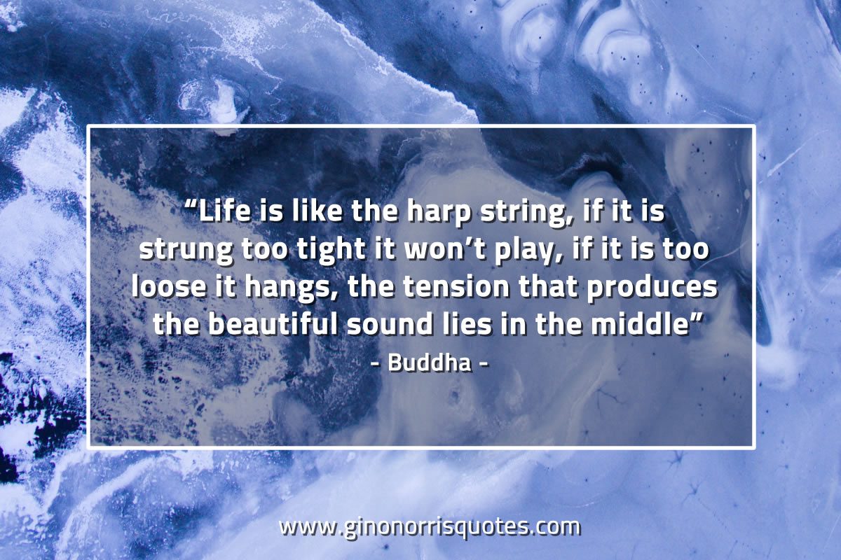 Life is like the harp string BuddhaQuotes