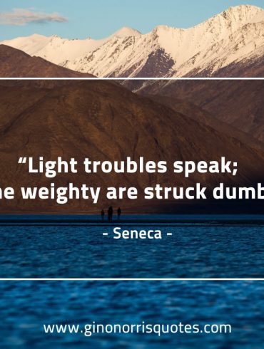 Light troubles speak SenecaQuotes