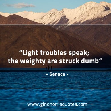 Light troubles speak SenecaQuotes