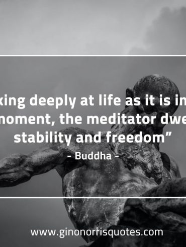 Looking deeply at life BuddhaQuotes