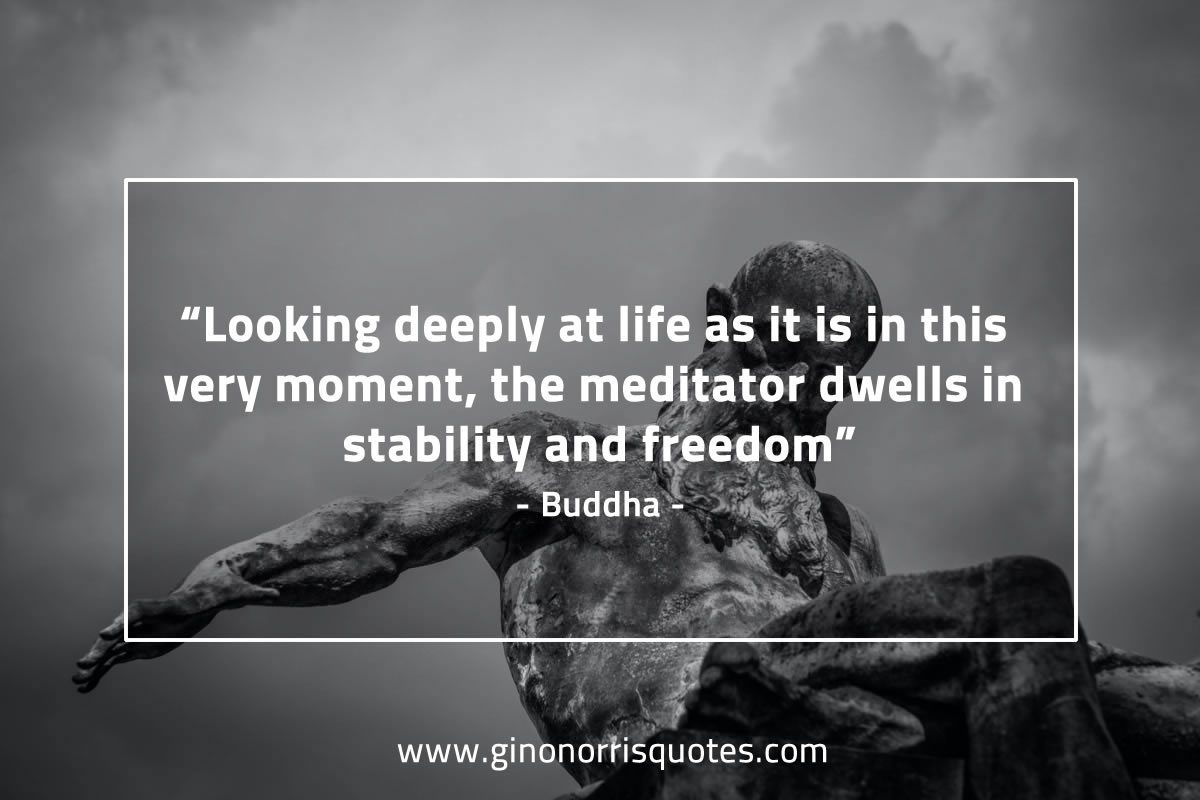 Looking deeply at life BuddhaQuotes