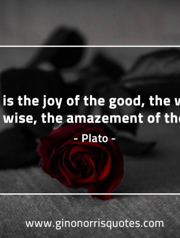 Love is the joy of the good PlatoQuotes