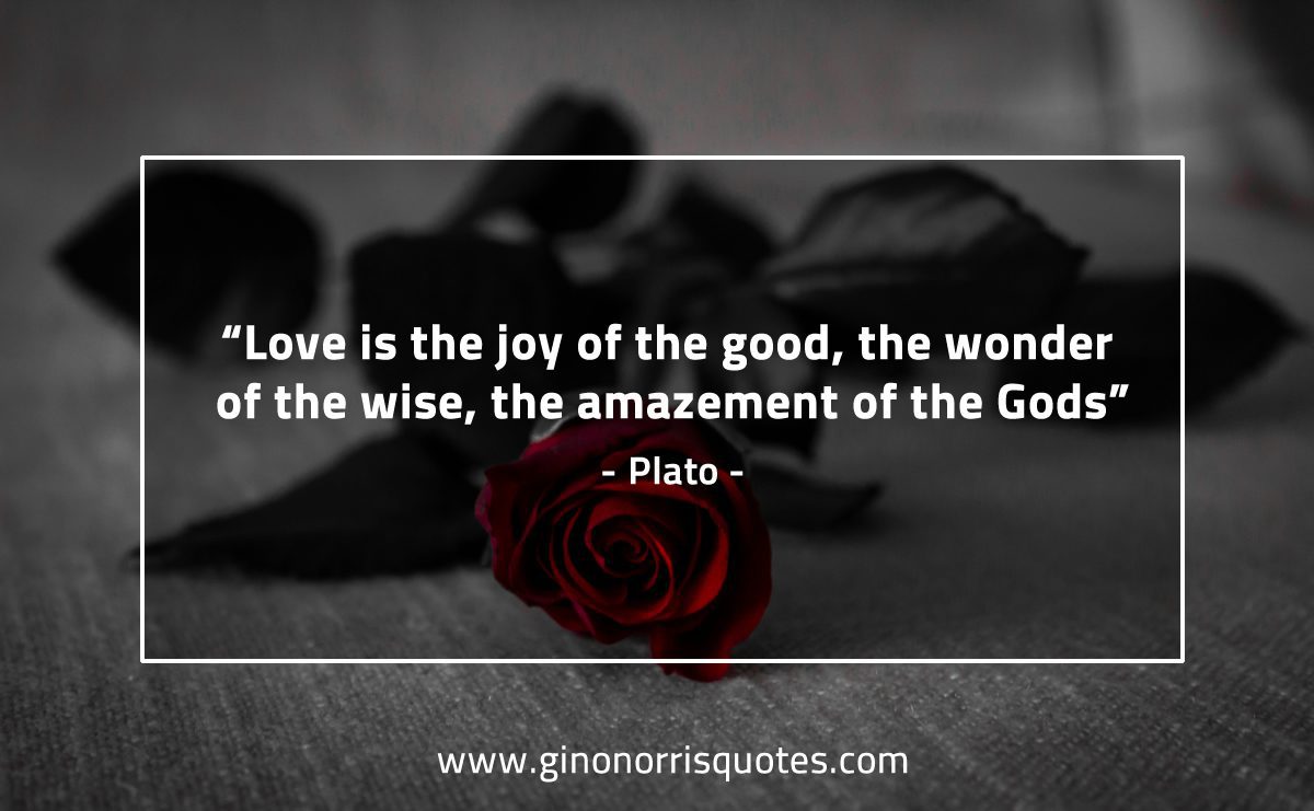 Love is the joy of the good PlatoQuotes