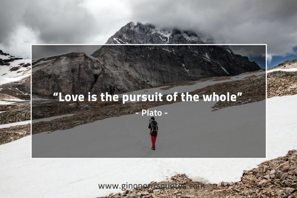 Love Is The Pursuit Of The Whole Meaning