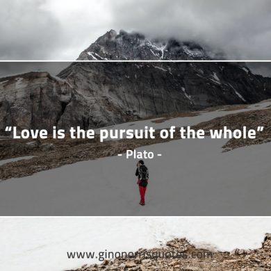 Love is the pursuit of the whole PlatoQuotes