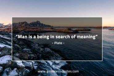 Man is a being in search of meaning PlatoQuotes