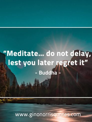 Meditate do not delay BuddhaQuotes