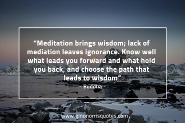 Meditation brings wisdom BuddhaQuotes